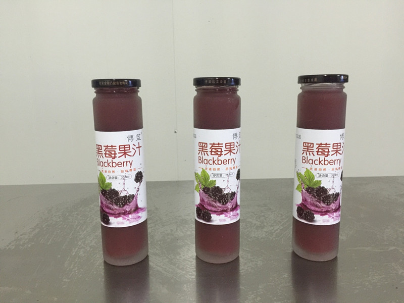 黑莓果汁瓶装